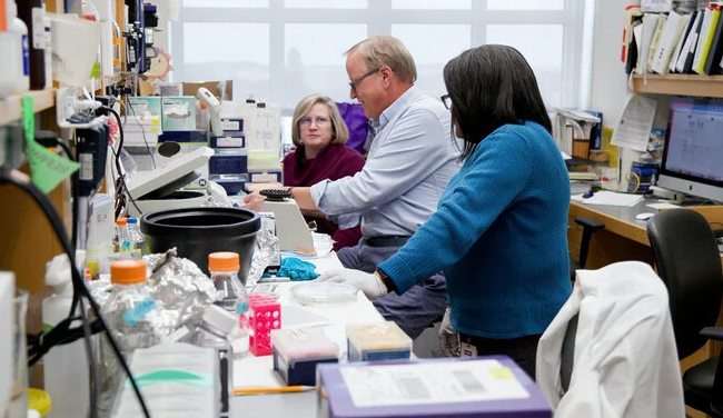 Mark Mamula working with two colleagues in the lab.